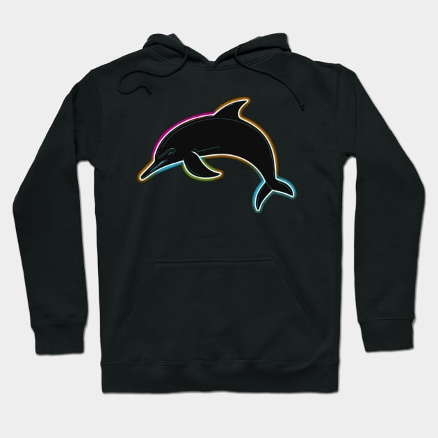 Shine like a Dolphin Hoodie by Pixy Official